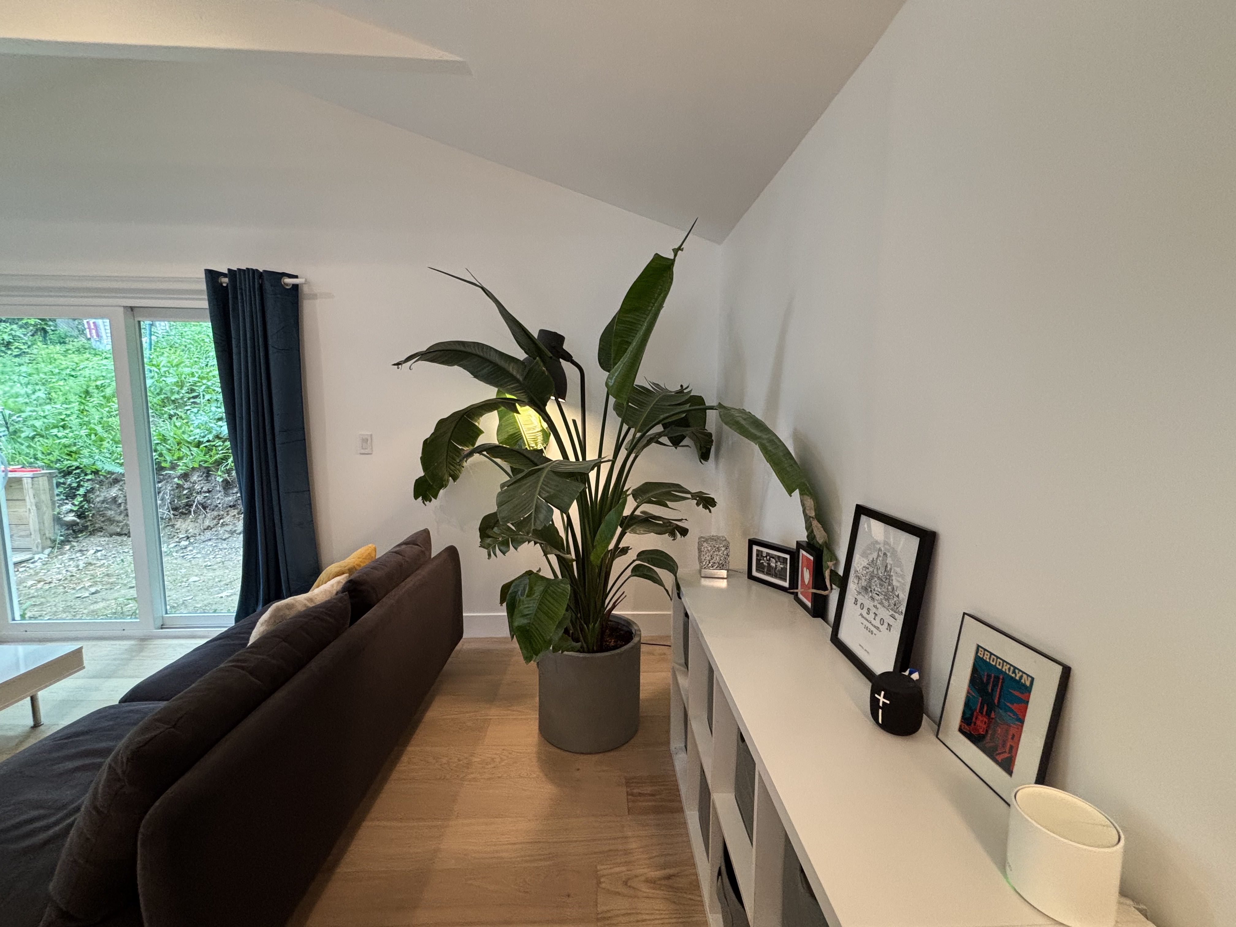 4 bed, 1.5 bath apartment for rent at 91 Brooks St Unit 1, Brighton — photo 9 of 55