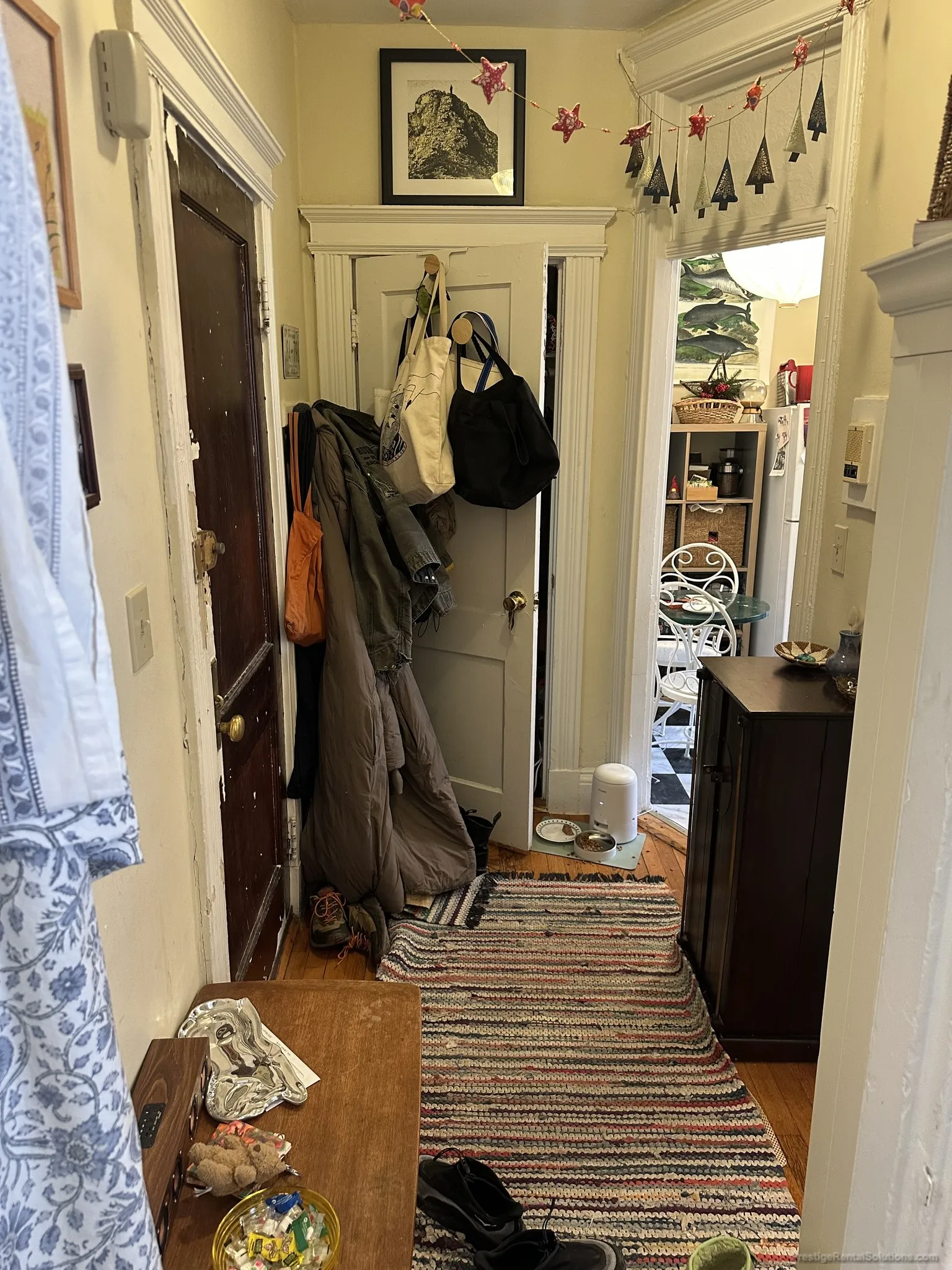 Studio bed, 1 bath apartment for rent at 91 Gordon St Unit 15, Brighton — photo 5 of 12