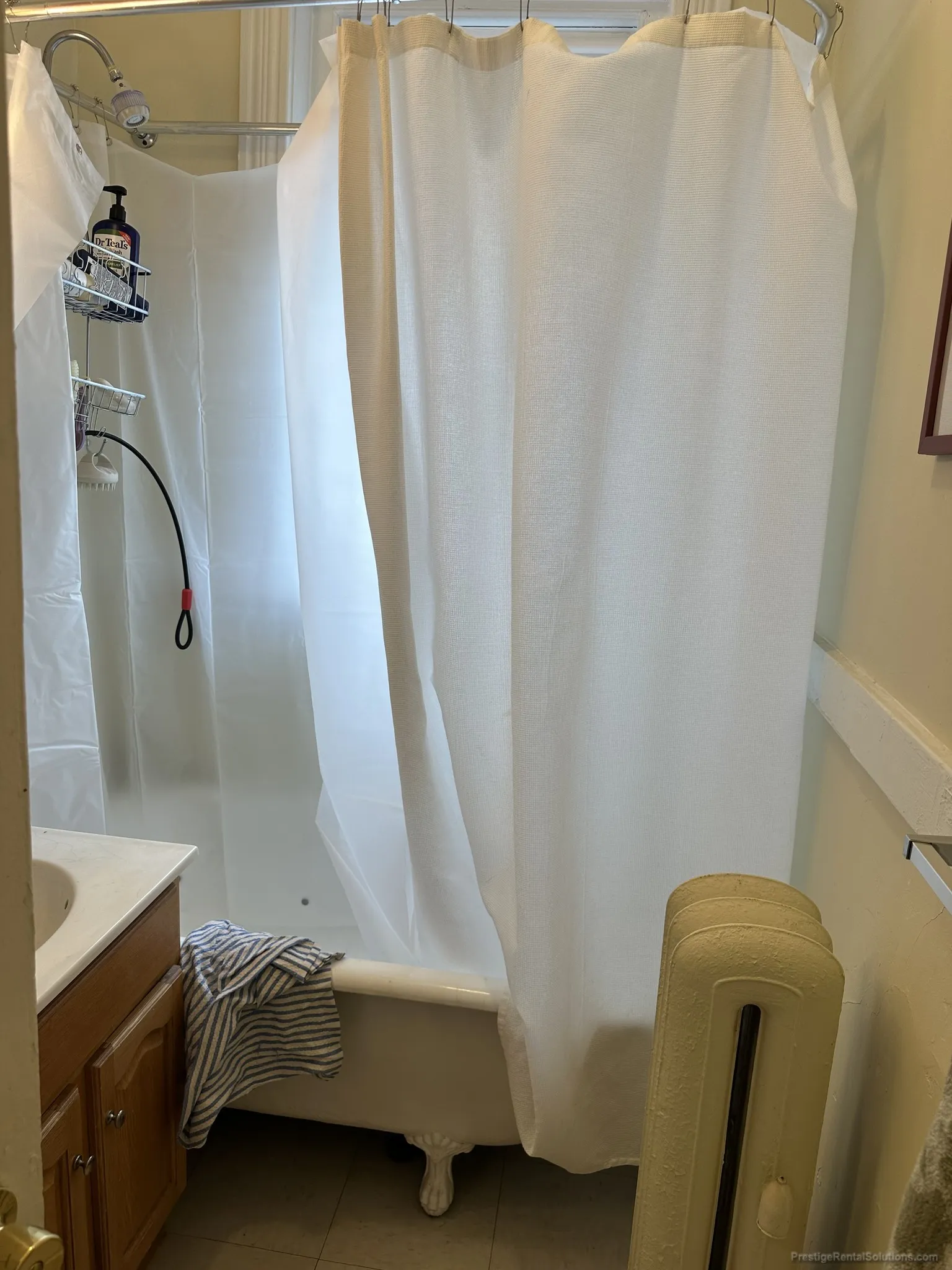 Studio bed, 1 bath apartment for rent at 91 Gordon St Unit 15, Brighton — photo 9 of 12