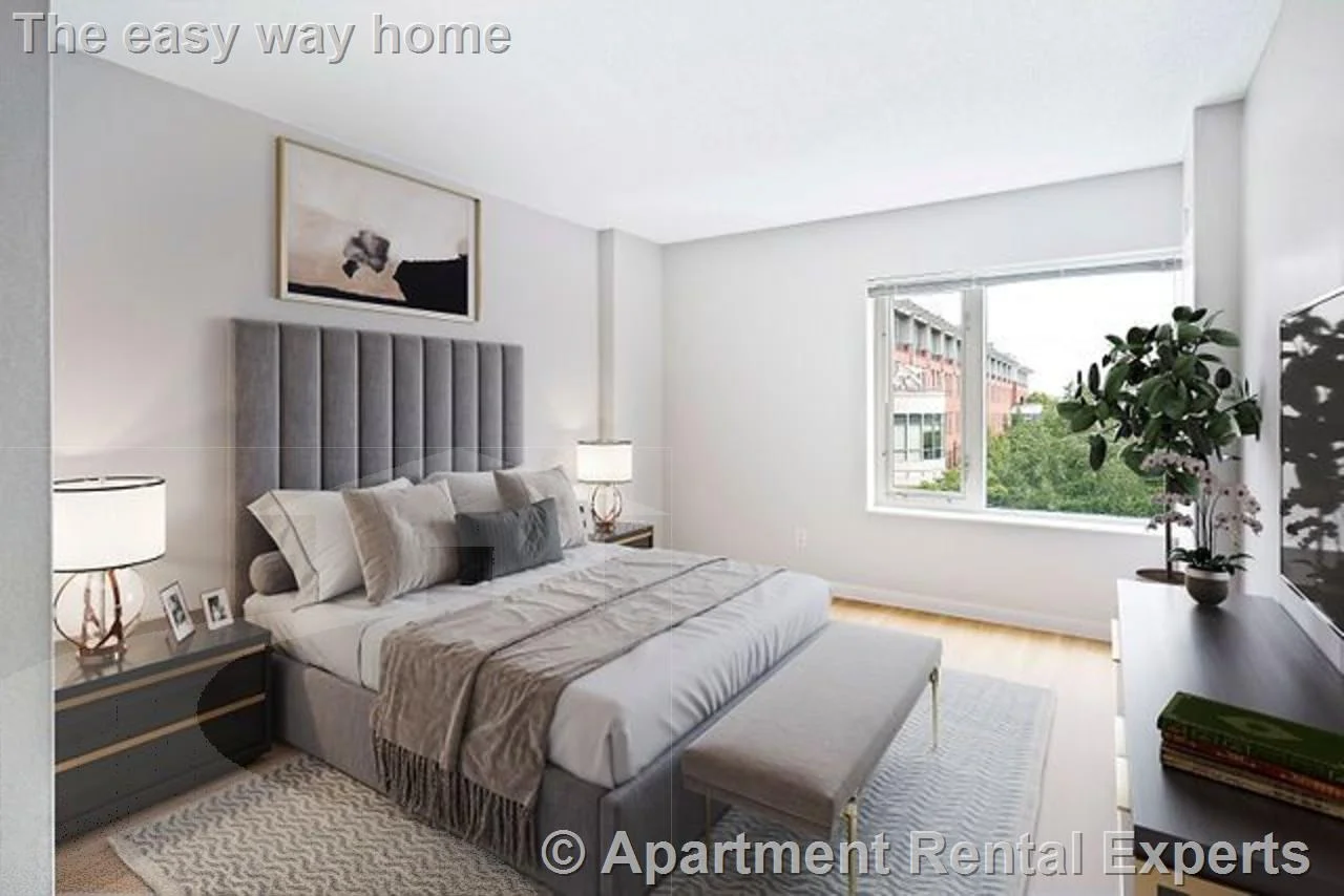 1 bed, 1 bath apartment for rent at 91 Sidney St Unit 501, Central Square — photo 3 of 9