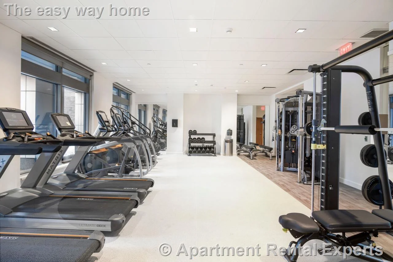 1 bed, 1 bath apartment for rent at 91 Sidney St Unit 501, Central Square — photo 6 of 9