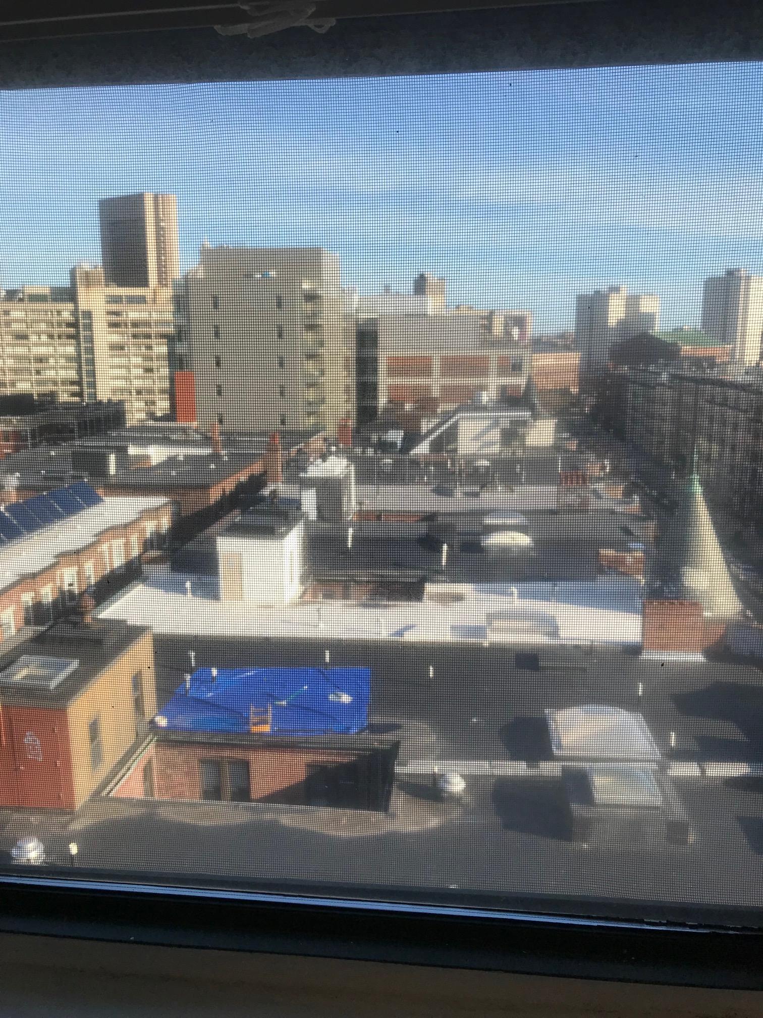 2 bed, 1 bath apartment for rent at 91 Westland Ave Unit 801, Fenway — photo 4 of 12