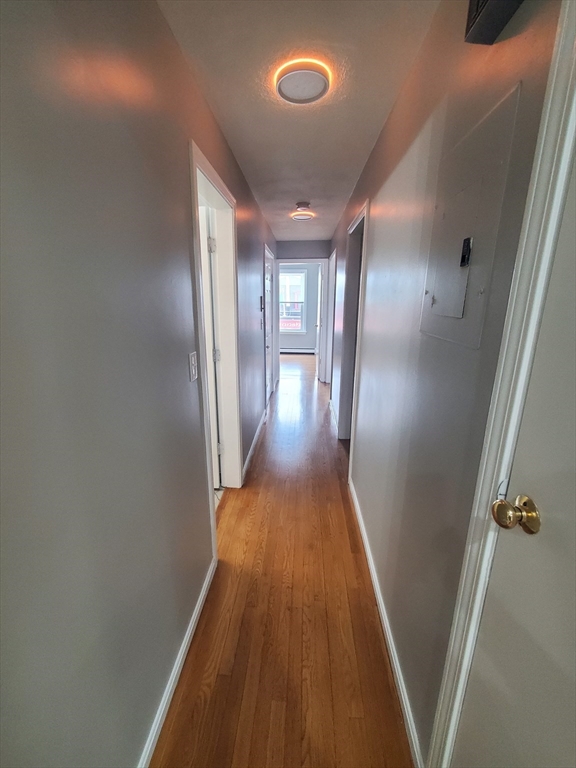 2 bed, 1 bath apartment for rent at 927 Dorchester Ave Unit 2, Dorchester — photo 14 of 14