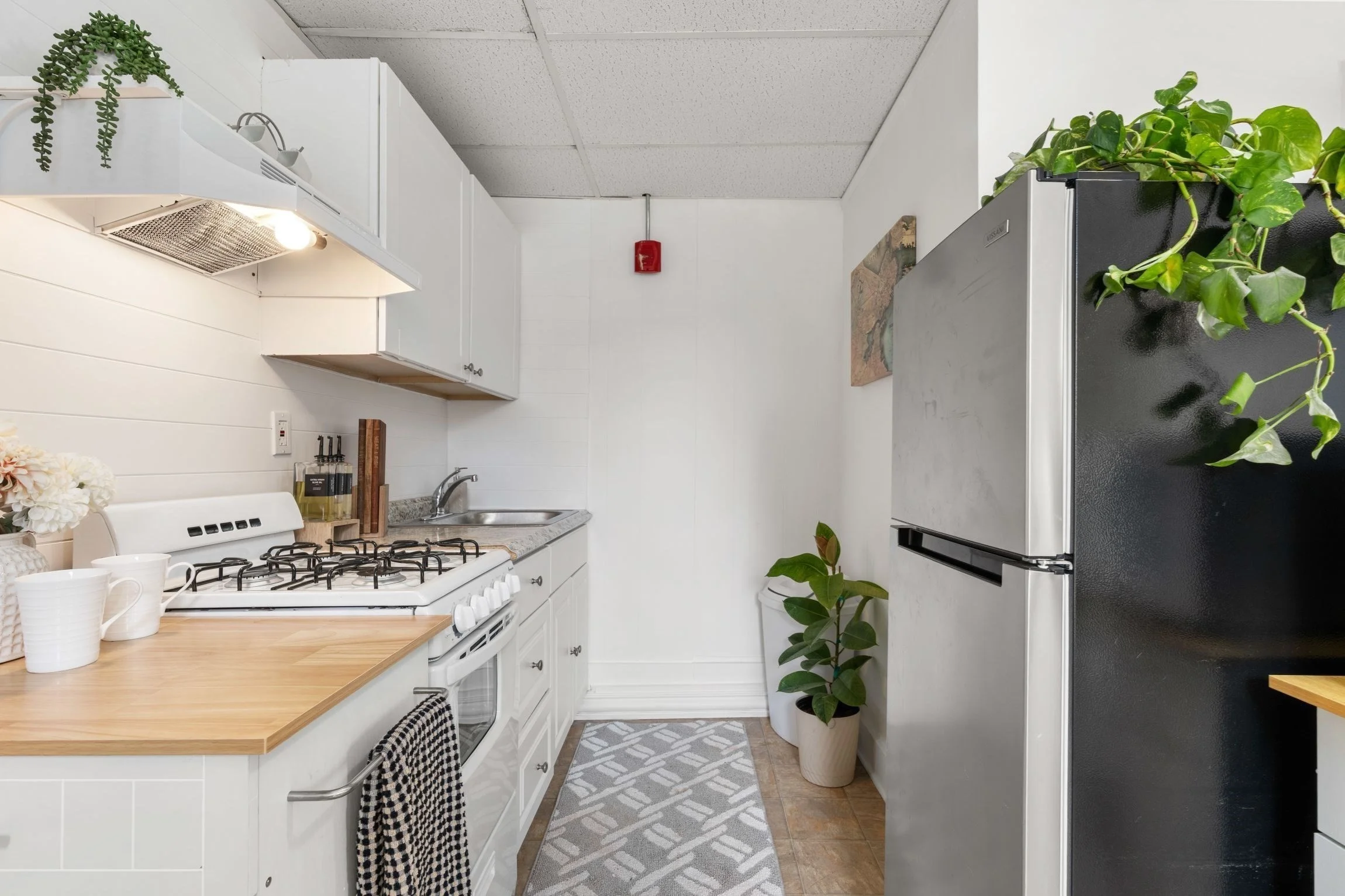 Studio bed, 1 bath apartment for rent at 928 Dorchester Ave Unit 1, Dorchester — photo 5 of 16