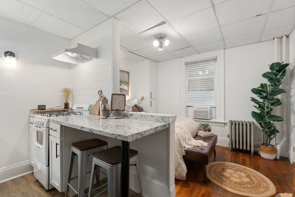 Studio bed, 1 bath apartment for rent at 928 Dorchester Ave Unit 2, Dorchester — photo 6 of 11