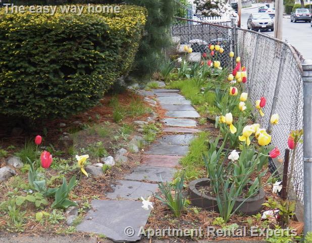 3 bed, 1 bath apartment for rent at 93 Alpine St Unit 1, Spring Hill — photo 13 of 14