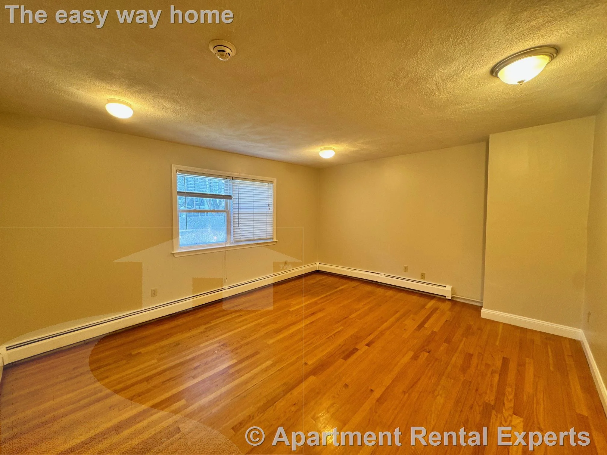 1 bed, 1 bath apartment for rent at 93 Brookline St Unit 2, Central Square — photo 3 of 5