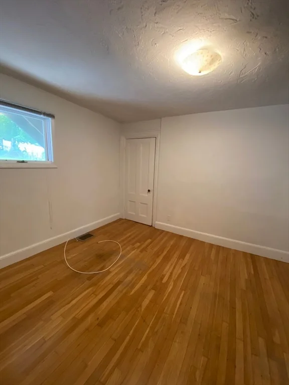 1 bed, 1 bath apartment for rent at 93 Cass St Unit B2, West Roxbury — photo 3 of 7