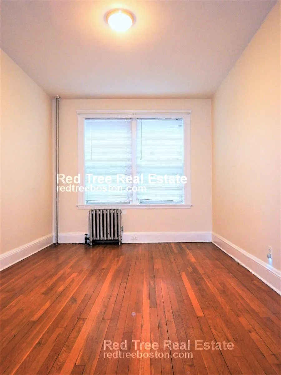 2 bed, 2 bath apartment for rent at 93 Chester St Unit S1, Allston — photo 3 of 7