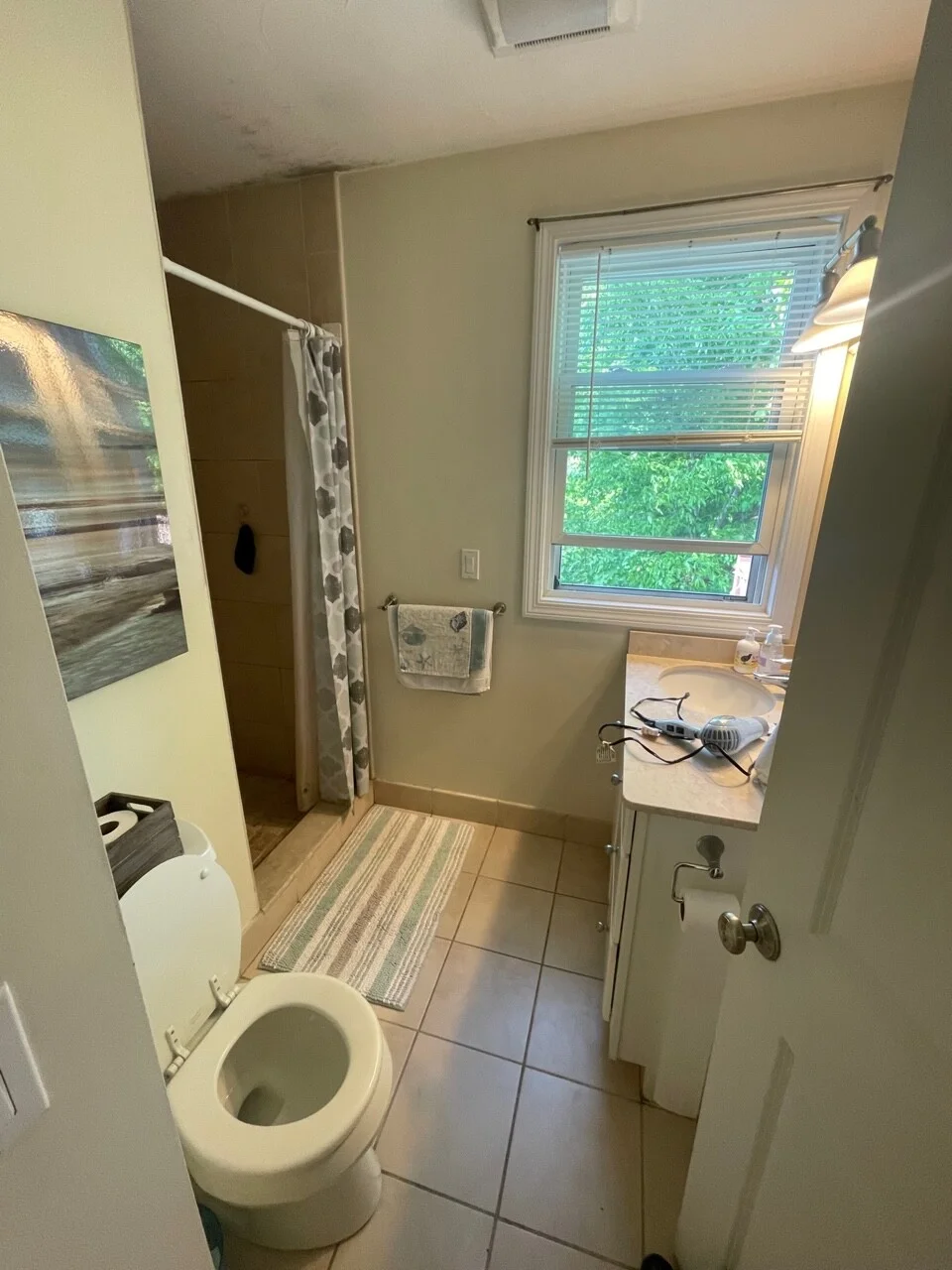 3 bed, 2 bath apartment for rent at 93 Kilsyth Ter Unit 3, Brighton — photo 9 of 11