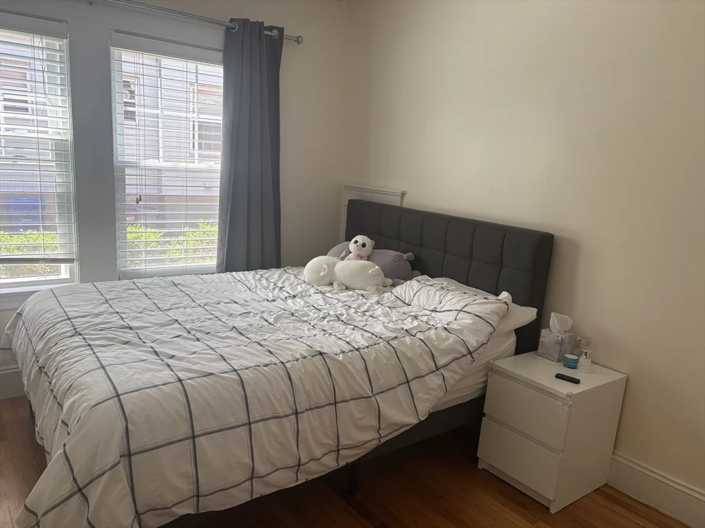 2 bed, 1 bath apartment for rent at 93 Lawton St Unit 1, Coolidge Corner — photo 12 of 20