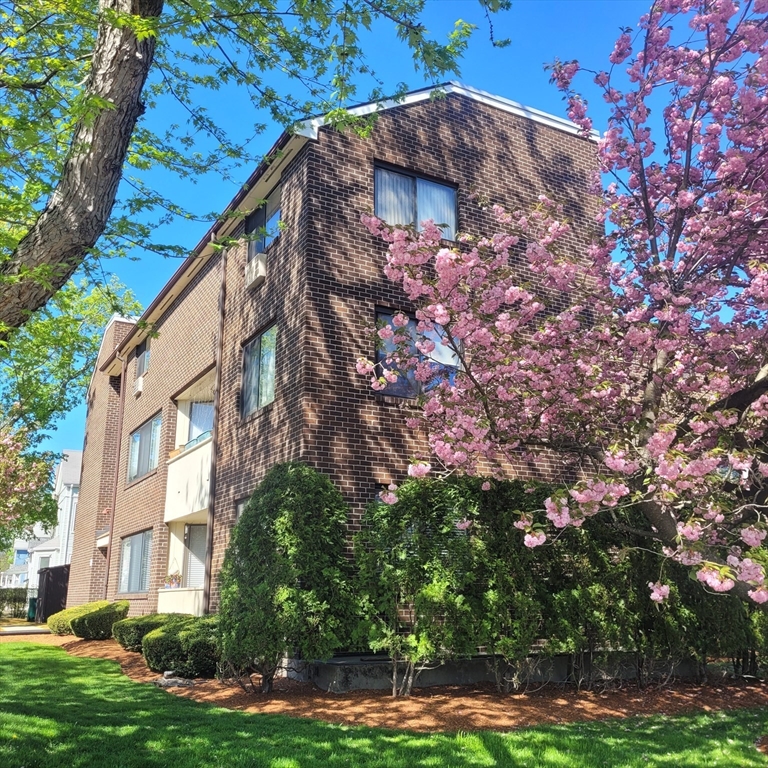 2 bed, 1 bath apartment for rent at 935 Washington St Unit 7, Newtonville — photo 1 of 13