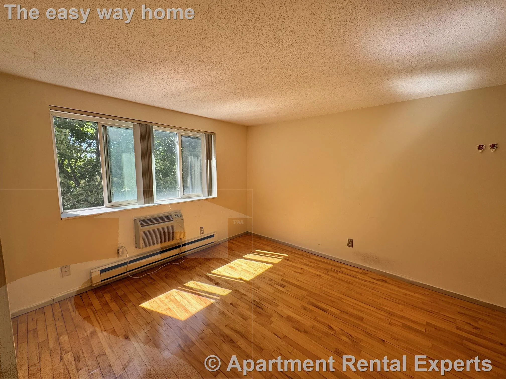 1 bed, 1 bath apartment for rent at 94 Beacon St Unit 35, Inman Square — photo 5 of 11