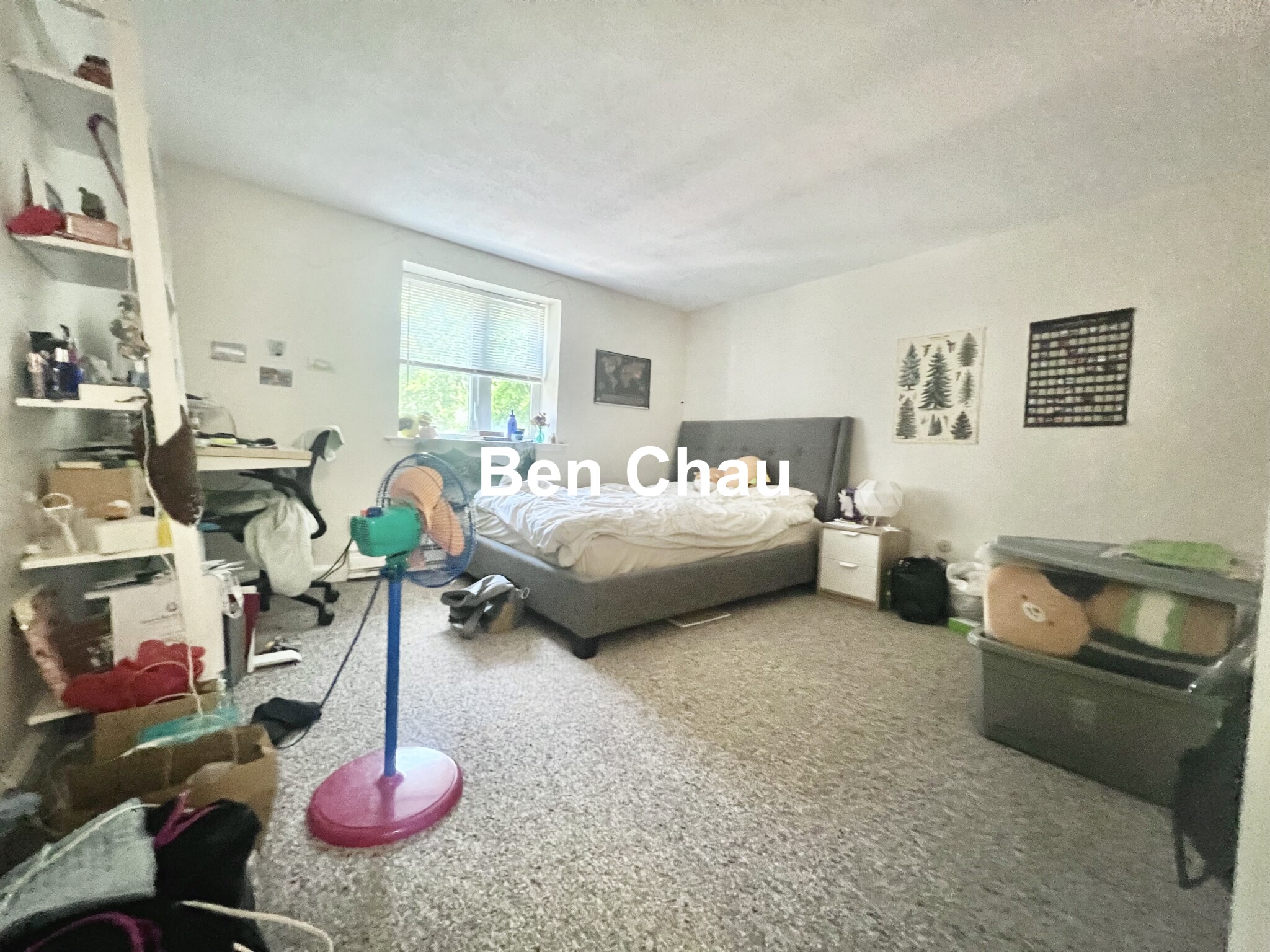 2 bed, 1 bath apartment for rent at 94 Beacon St Unit 37, Ward Two — photo 4 of 14