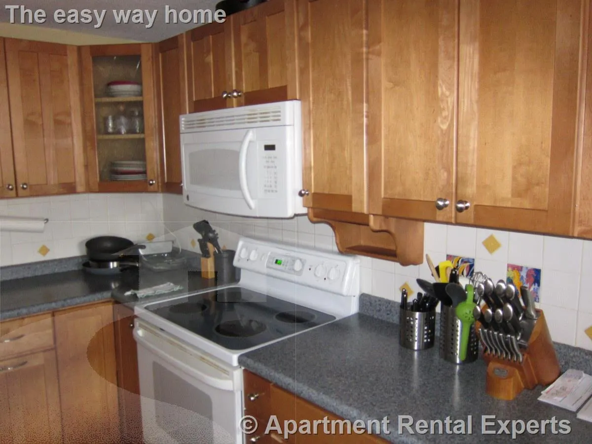 2 bed, 1 bath apartment for rent at 94 Beacon St Unit 58, Ward Two — photo 2 of 8