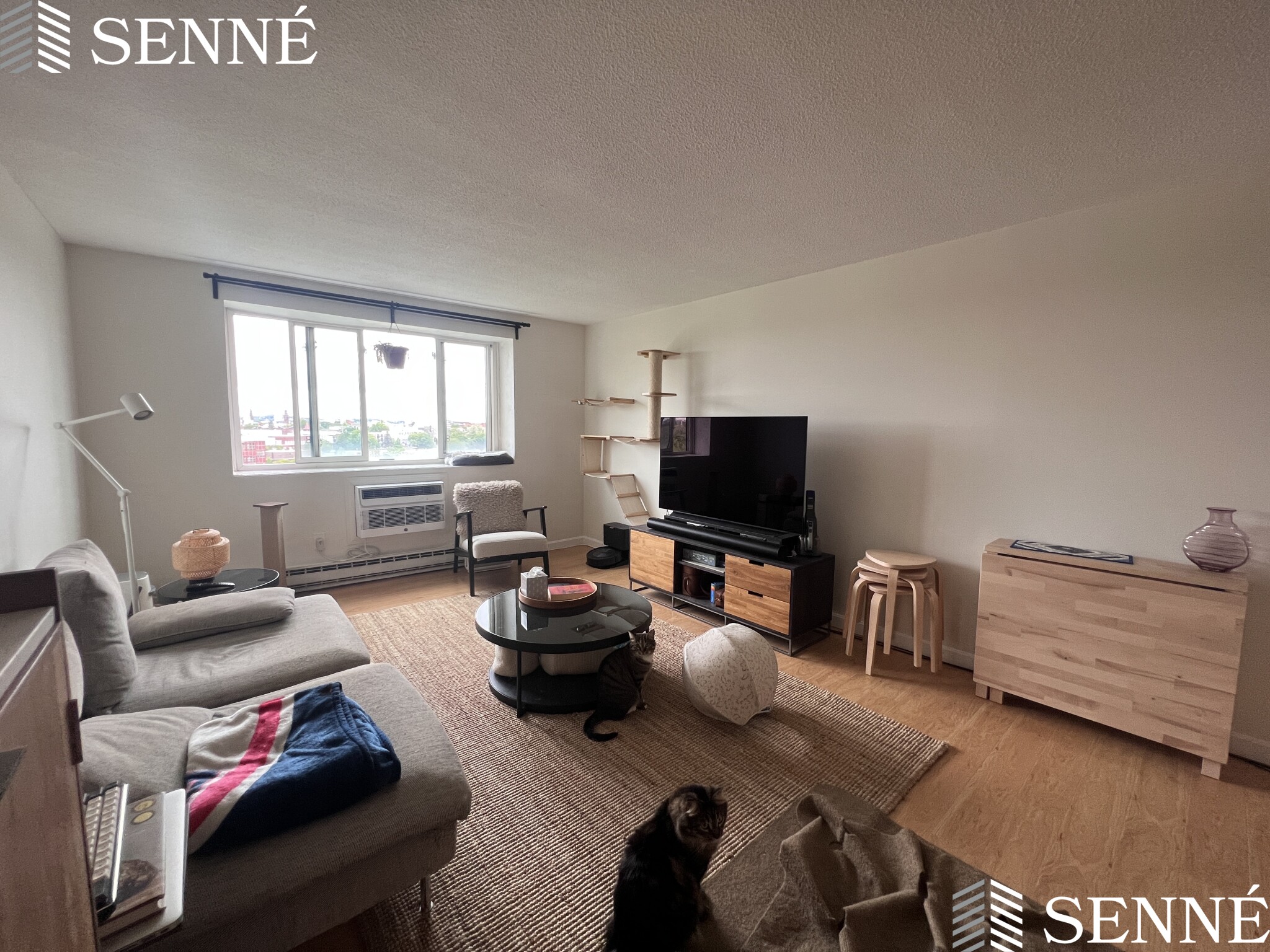 1 bed, 1 bath apartment for rent at 94 Beacon St Unit 75, Ward Two — photo 1 of 20
