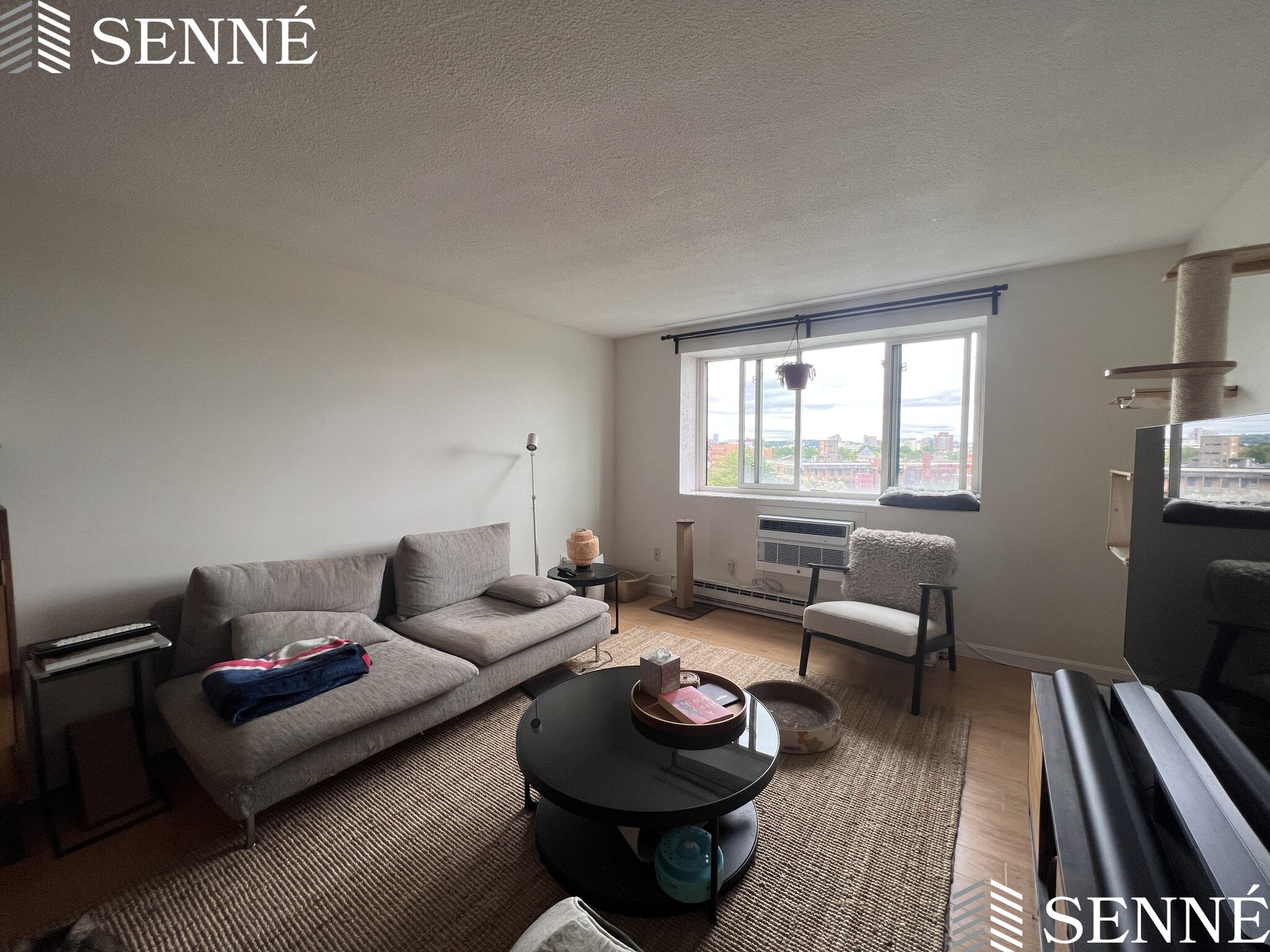 1 bed, 1 bath apartment for rent at 94 Beacon St Unit 75, Ward Two — photo 3 of 20