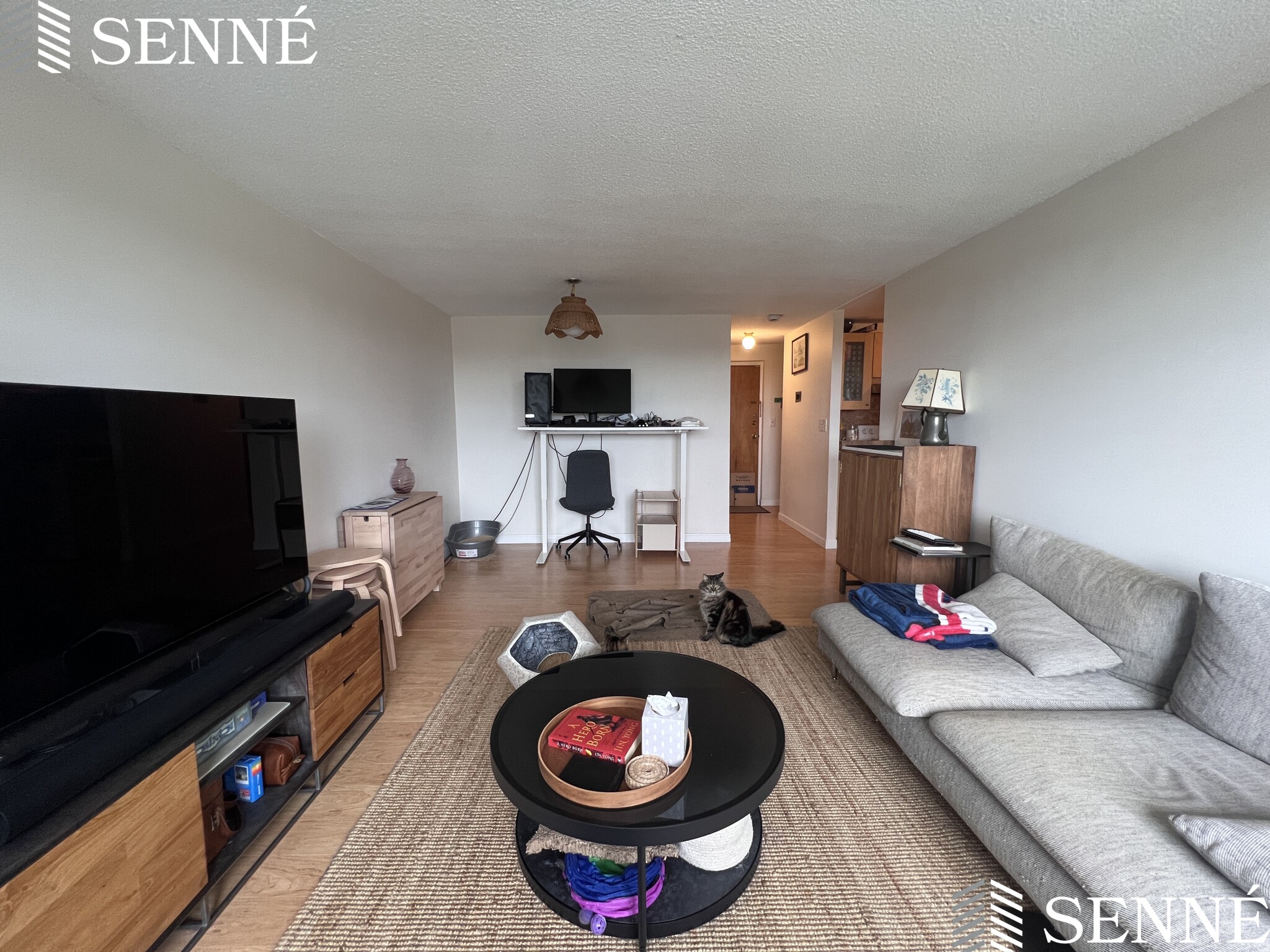 1 bed, 1 bath apartment for rent at 94 Beacon St Unit 75, Ward Two — photo 2 of 20