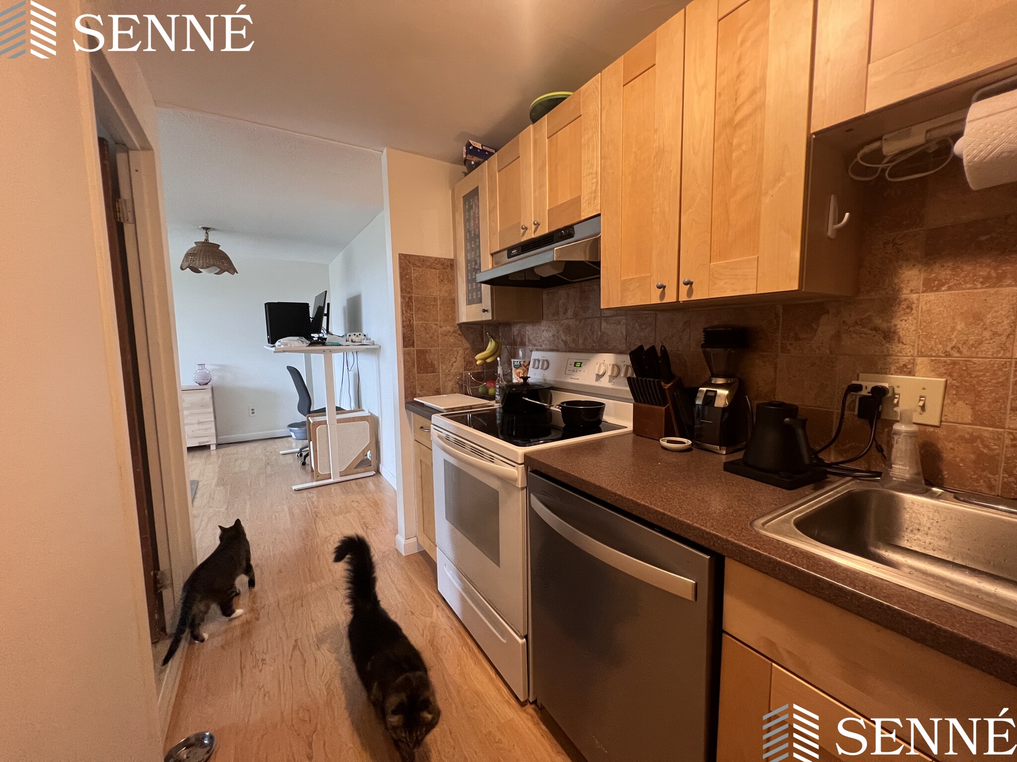 1 bed, 1 bath apartment for rent at 94 Beacon St Unit 75, Ward Two — photo 4 of 20