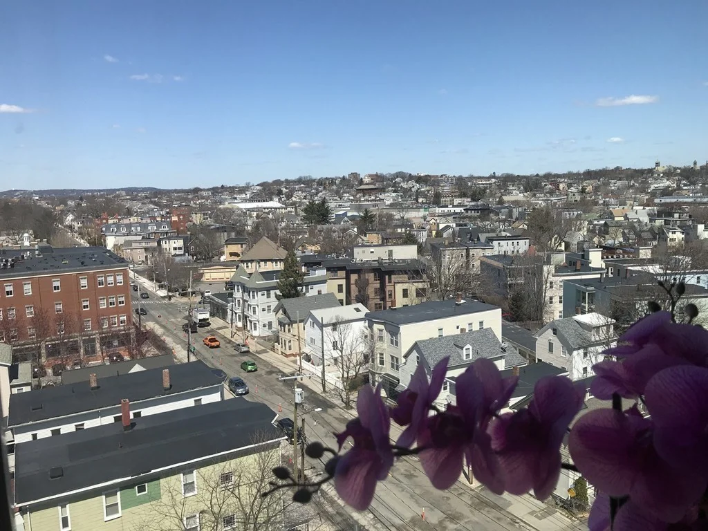 2 bed, 1 bath apartment for rent at 94 Beacon St Unit 82, Union Square — photo 9 of 10