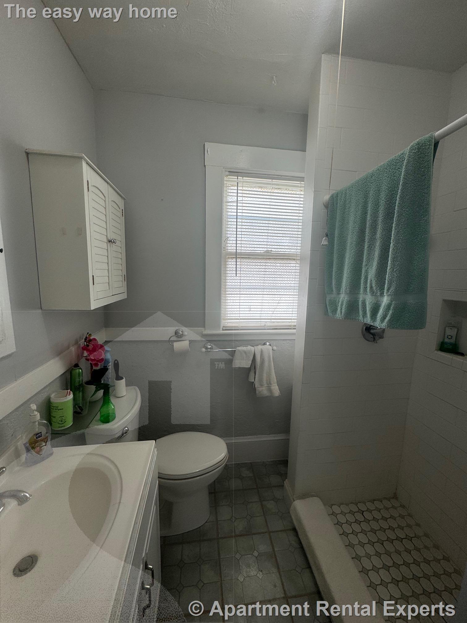1 bed, 1 bath apartment for rent at 94 Harlow St Unit 1, Arlington Center — photo 7 of 10