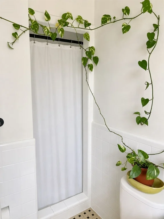 2 bed, 2 bath apartment for rent at 94 Marion Unit 5, Coolidge Corner — photo 15 of 17