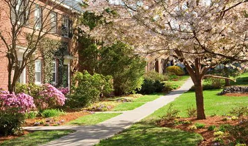 2 bed, 1 bath apartment for rent at 94 Thornton Rd Unit 2Med, Chestnut Hill — photo 2 of 5
