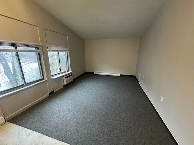 Studio bed, 1 bath apartment for rent at 949 Main St Unit 16, Woburn — photo 3 of 4