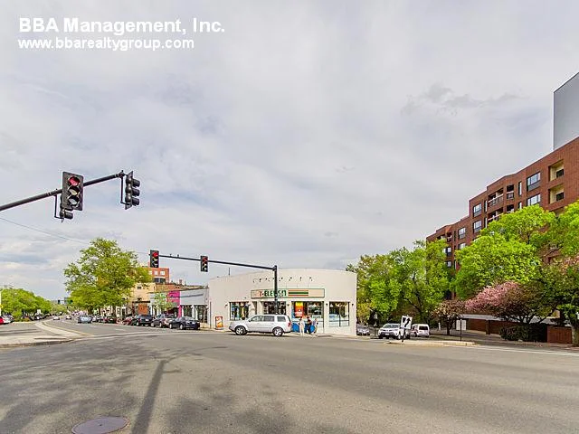 Studio bed, 1 bath apartment for rent at 94A Marion St Unit 4, Griggs Park — photo 17 of 17