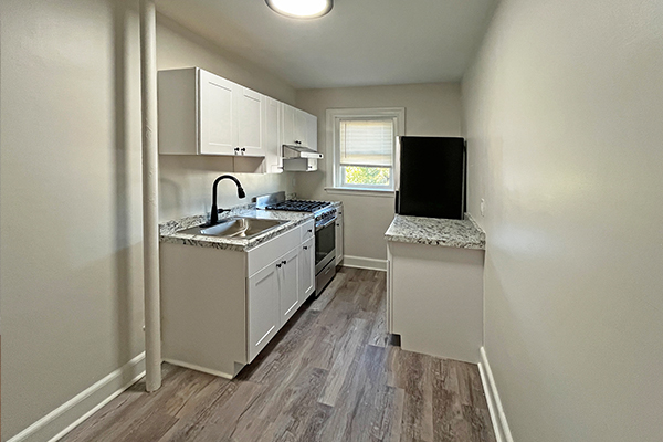 1 bed, 1 bath apartment for rent at 95 Adams St Unit 95-03, South Side — photo 3 of 11