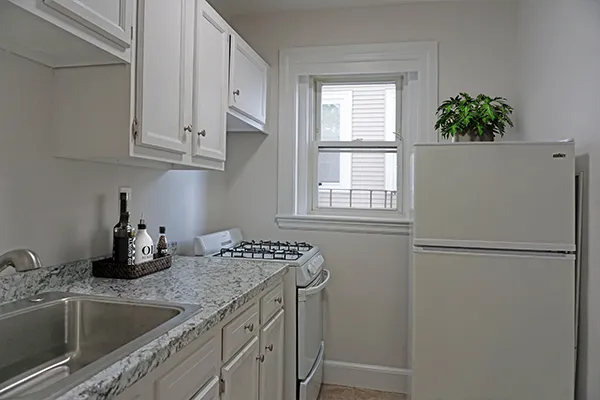 1 bed, 1 bath apartment for rent at 95 Adams St Unit 95-08, South Side — photo 2 of 10