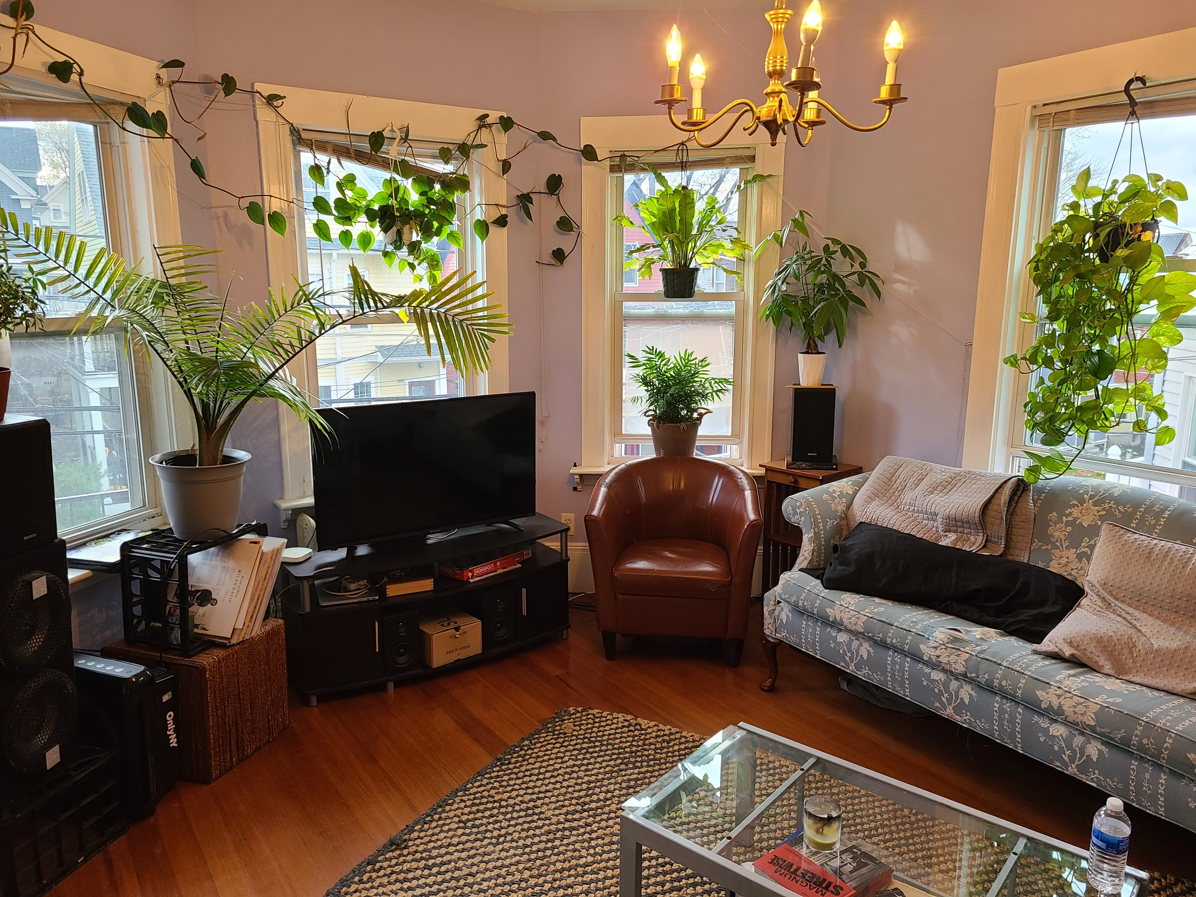 3 bed, 2 bath apartment for rent at 95 Belmont St Unit 2, Powder House Square — photo 7 of 17