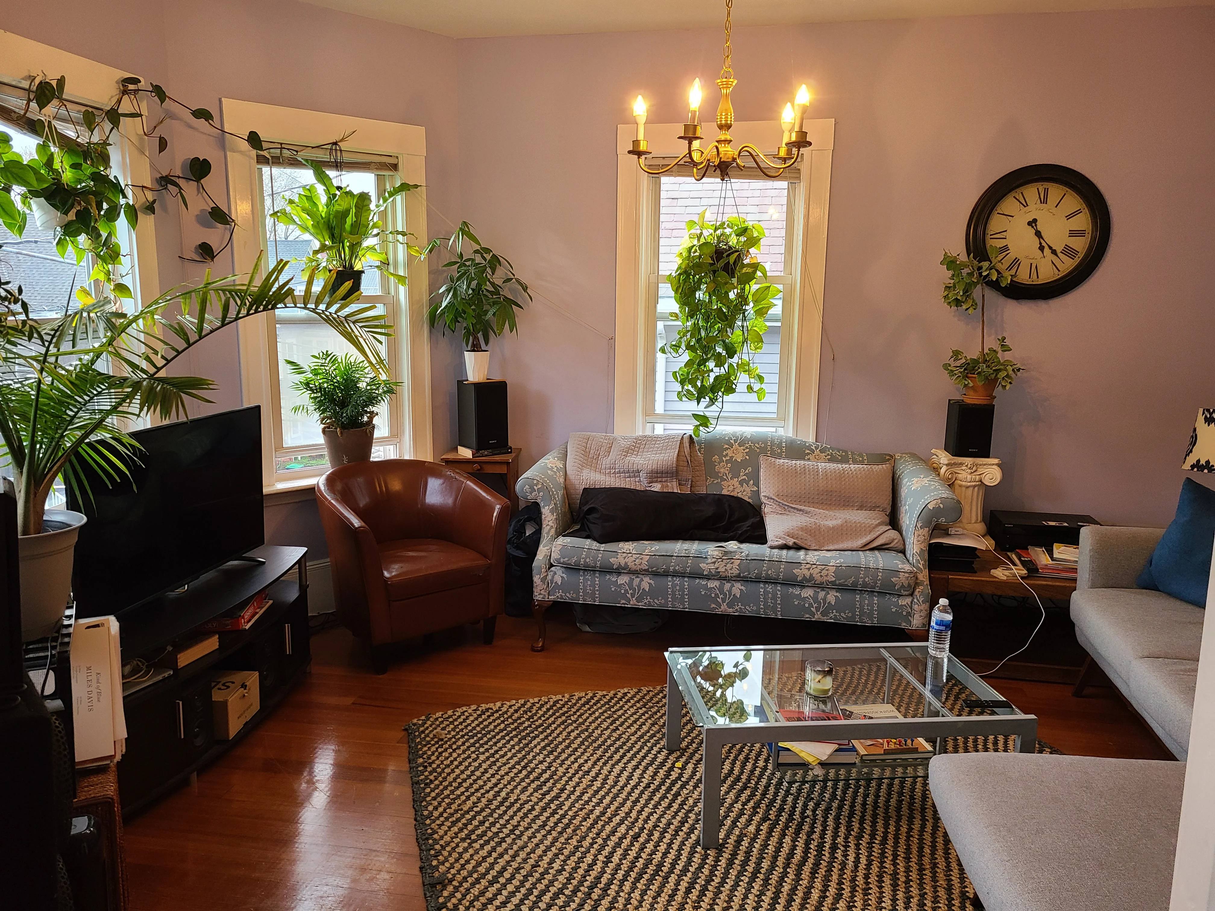 3 bed, 2 bath apartment for rent at 95 Belmont St Unit 2, Powder House Square — photo 5 of 17