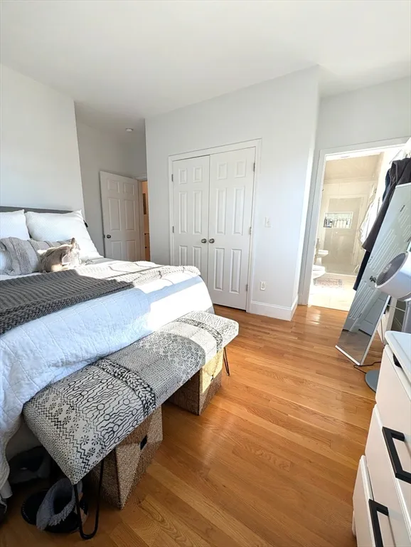2 bed, 2 bath apartment for rent at 95 Brown Ave Unit 1, Roslindale — photo 9 of 17