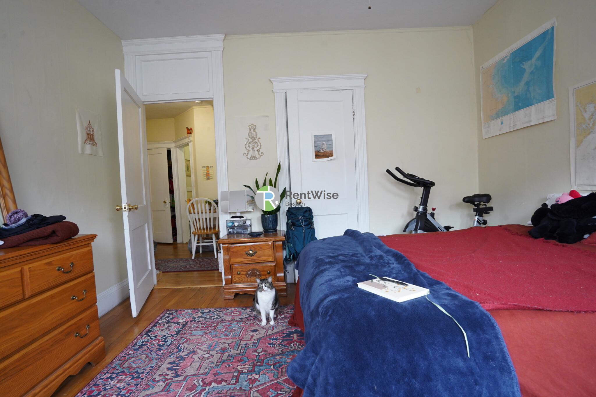 1 bed, 1 bath apartment for rent at 95 Gordon St Unit 12, Brighton — photo 4 of 17