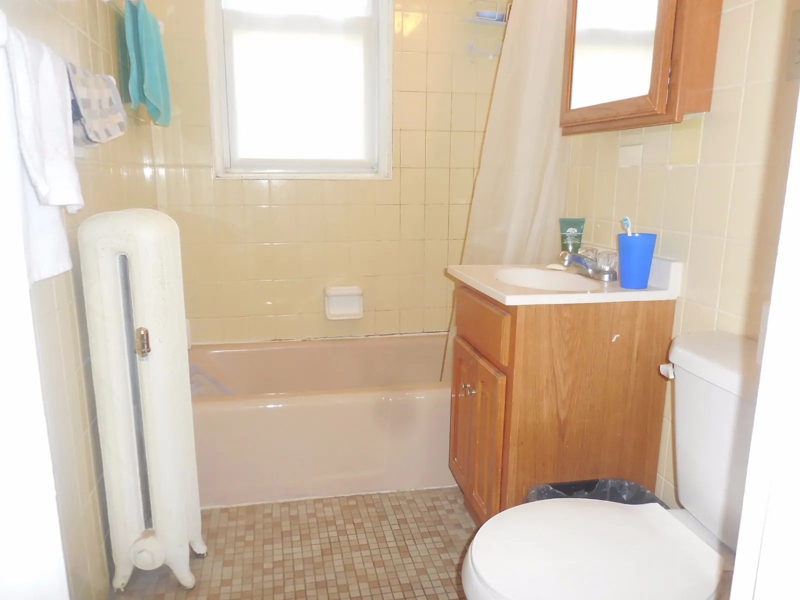 Studio bed, 1 bath apartment for rent at 95 Gordon St Unit 18, Brighton — photo 5 of 10