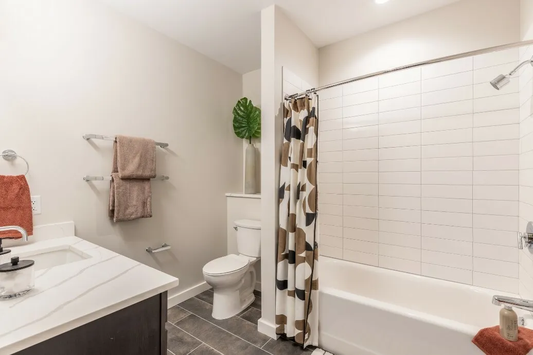 1 bed, 1 bath apartment for rent at 95 Saint Alphonsus St Unit 210, Mission Hill — photo 6 of 13
