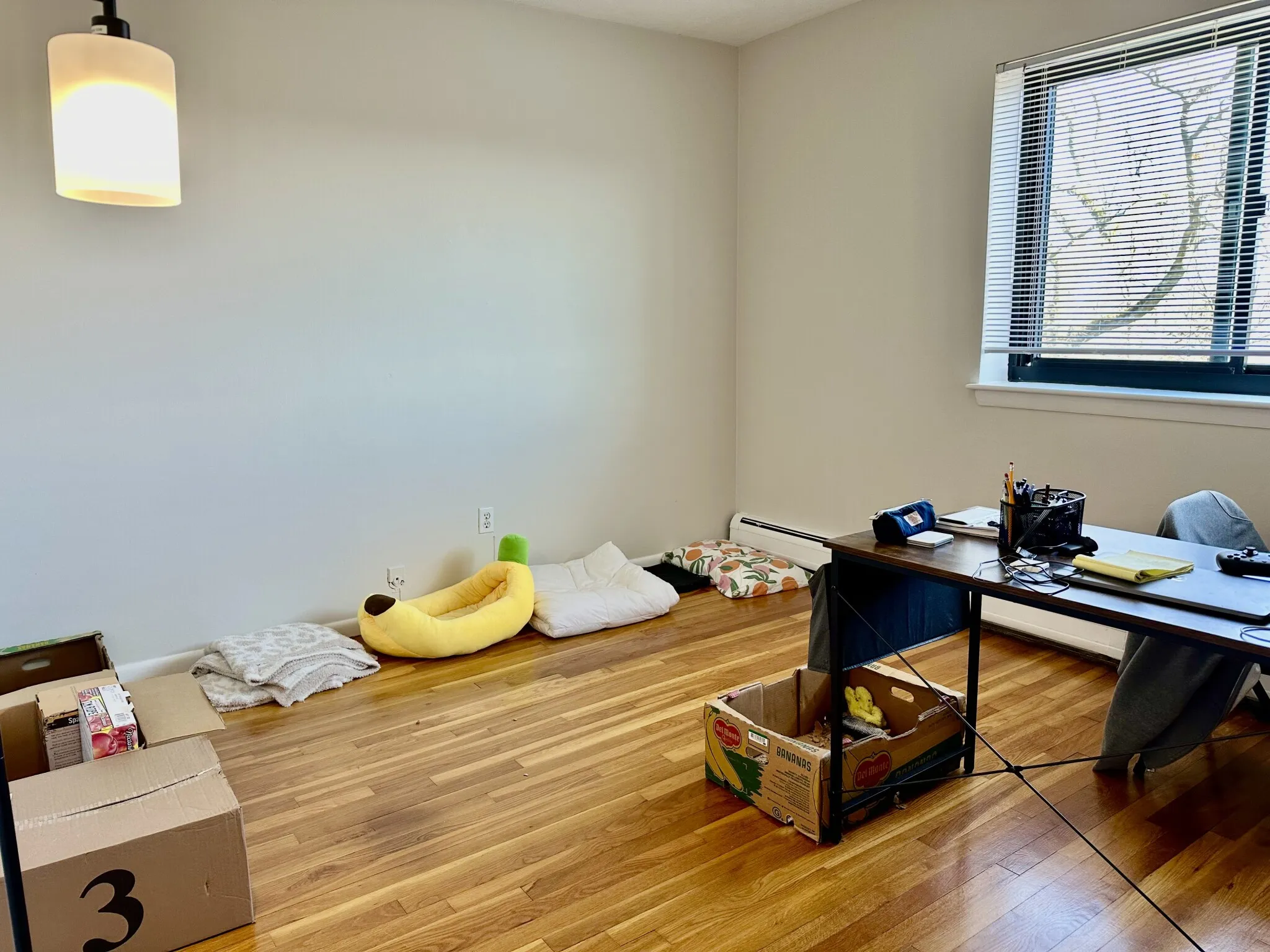 2 bed, 1 bath apartment for rent at 95 Sutherland Rd Unit 4C, Brighton — photo 12 of 28