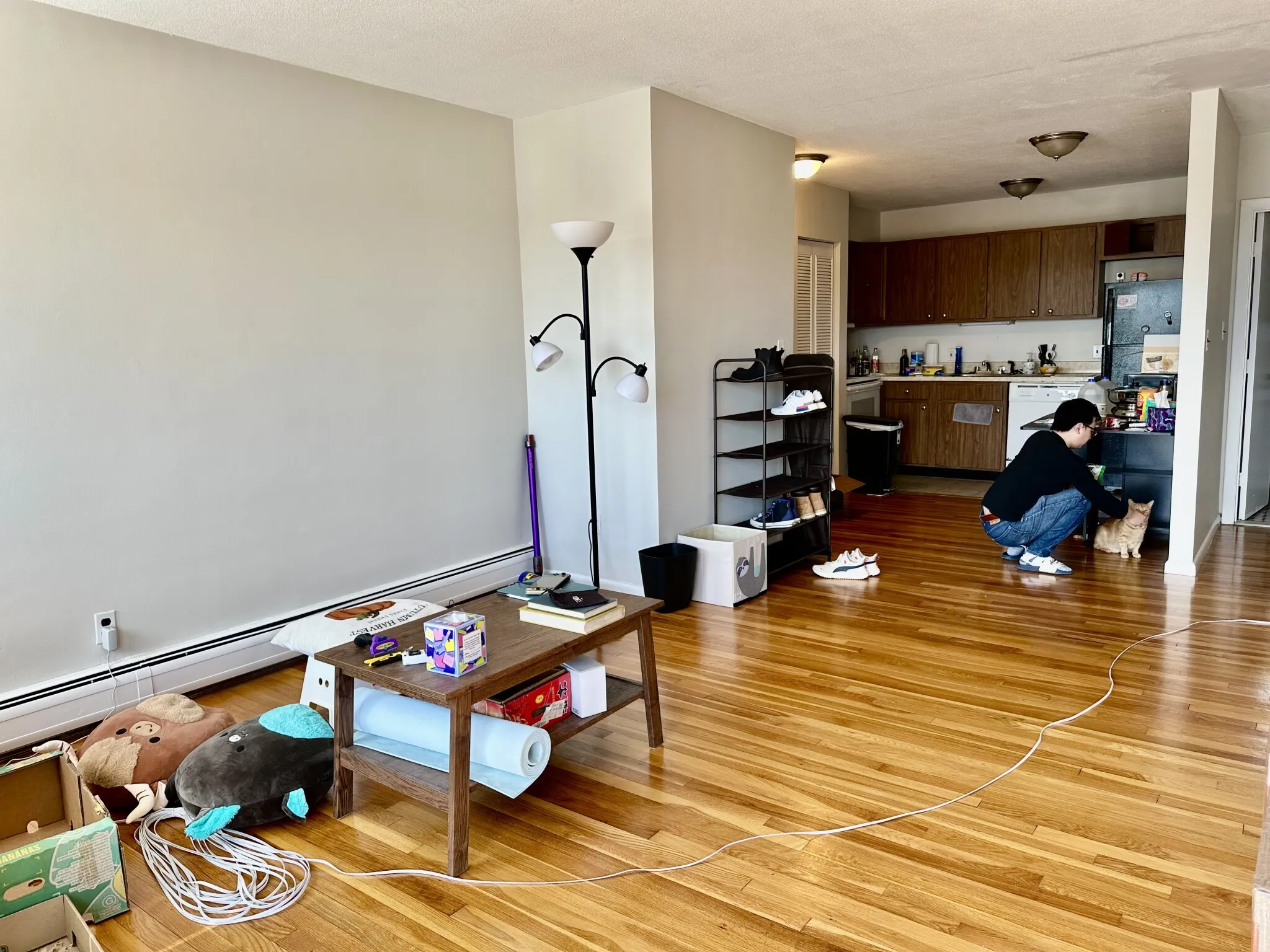 2 bed, 1 bath apartment for rent at 95 Sutherland Rd Unit 4C, Brighton — photo 16 of 28