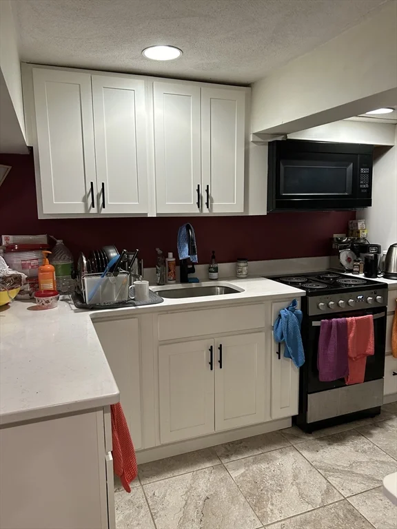 1 bed, 1 bath apartment for rent at 95 Withington Rd Unit 1, Newtonville — photo 5 of 6