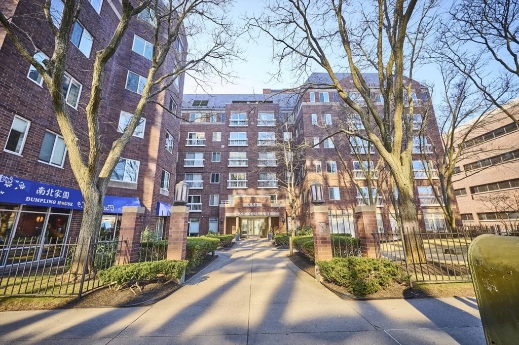1 bed, 1 bath apartment for rent at 950 Massachusetts Ave Unit 2C, Harvard Square — photo 1 of 13