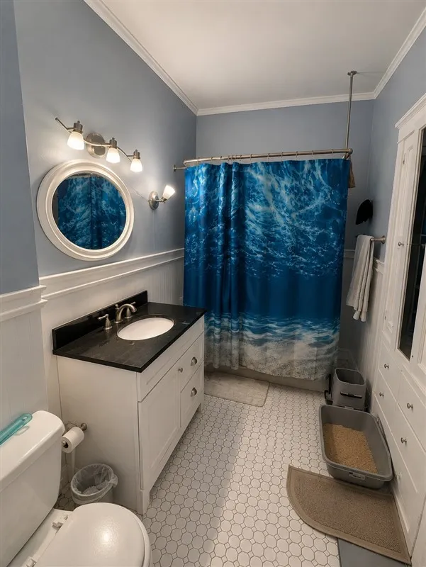 2 bed, 1 bath apartment for rent at 97 Lexington Ave Unit 3, West Cambridge — photo 10 of 11