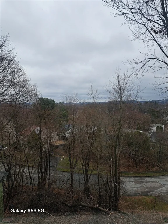 3 bed, 1 bath apartment for rent at 98 Brookline St Unit 2, Webster Square — photo 33 of 39