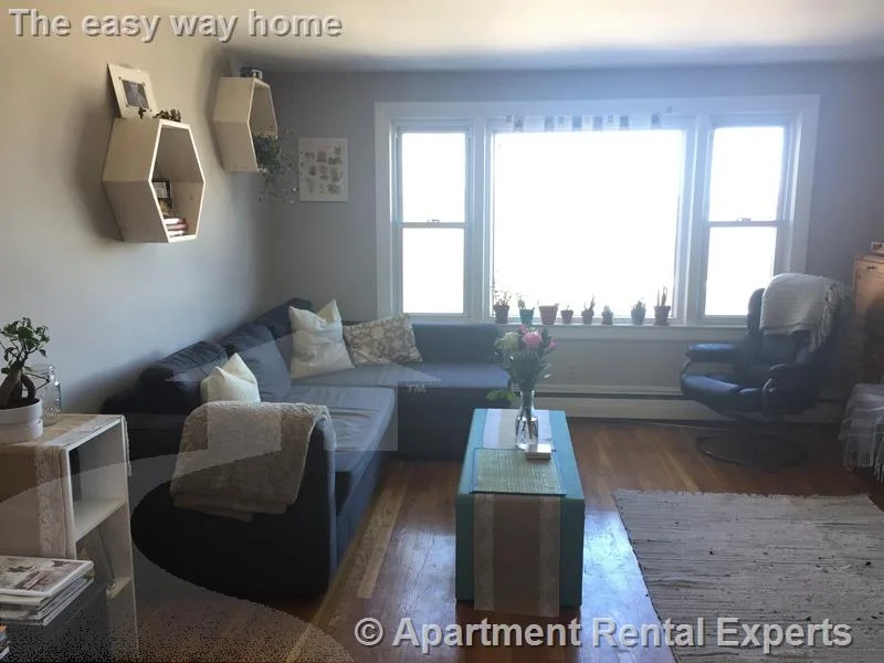 2 bed, 1 bath apartment for rent at 98 Moreland St Unit 4, Winter Hill — photo 2 of 9