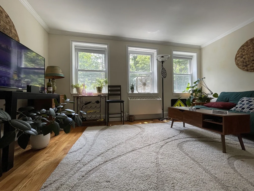 2 bed, 1 bath apartment for rent at 98 Morton St Unit 60C, Jamaica Plain — photo 2 of 17