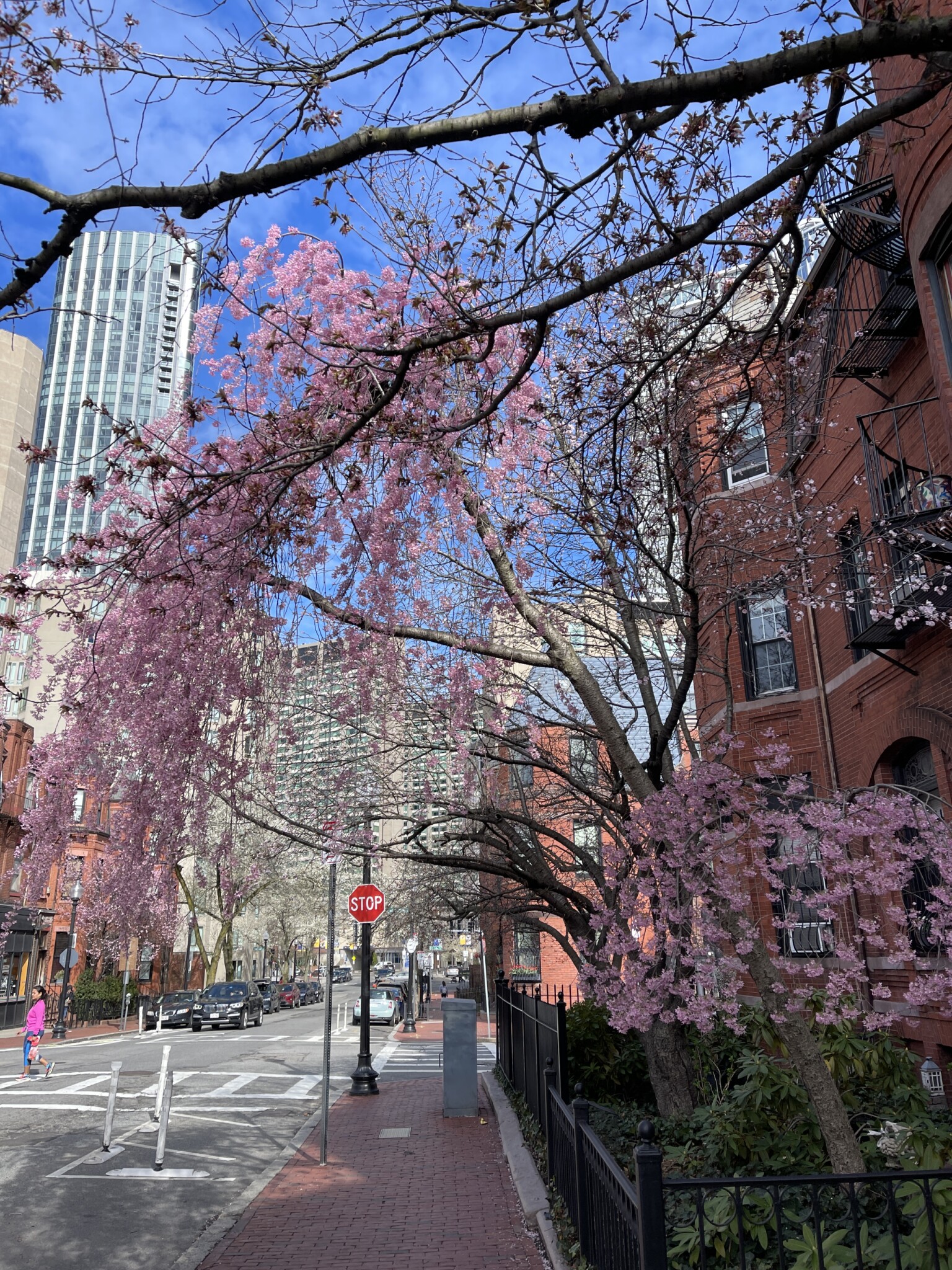 1 bed, 1 bath apartment for rent at 98 Saint Botolph St Unit 4B, Back Bay — photo 8 of 8