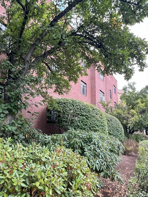1 bed, 1 bath apartment for rent at 98 Sewall Ave Unit 6, Brookline — photo 27 of 30