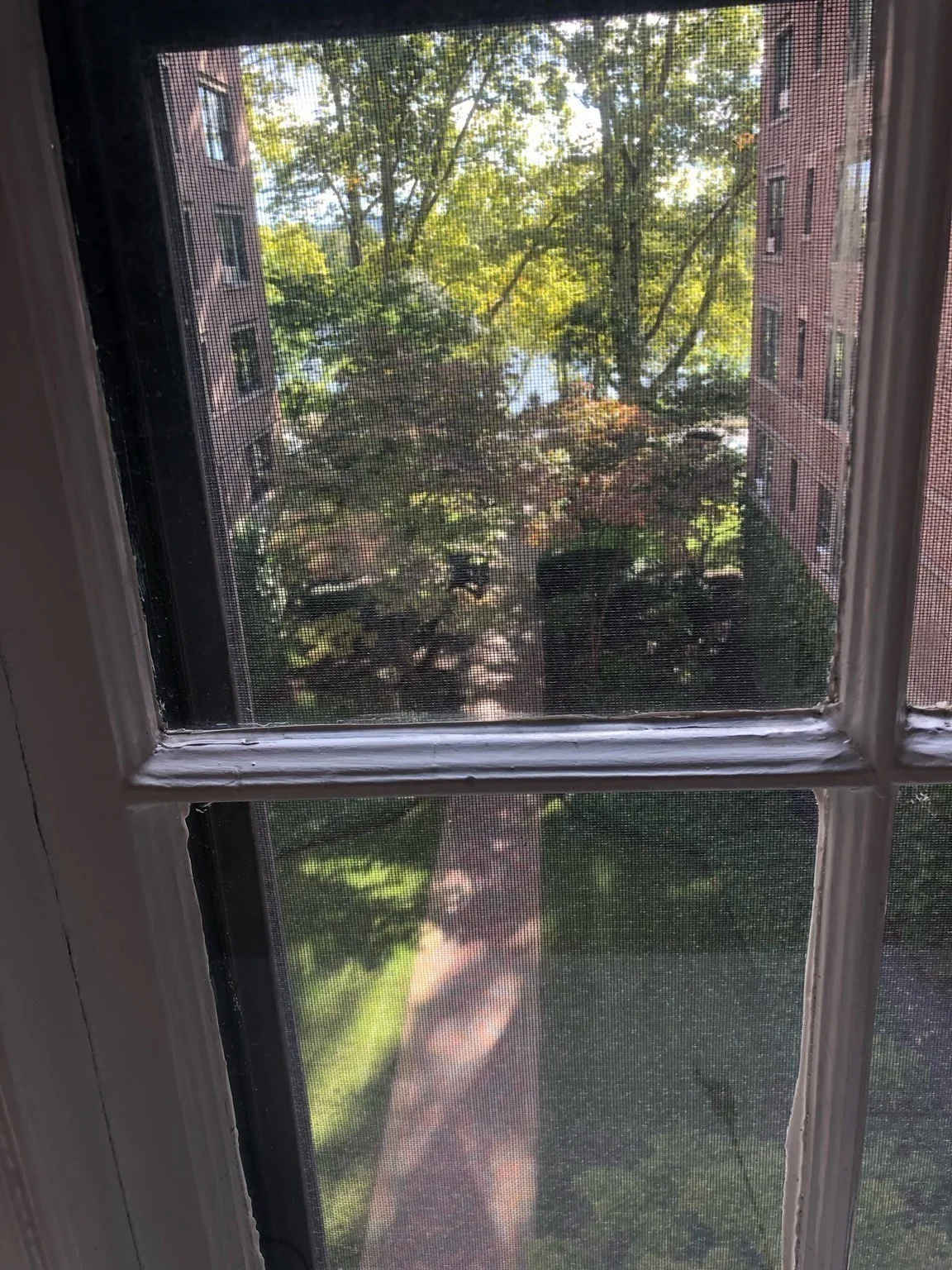 1 bed, 1 bath apartment for rent at 988 Memorial Dr Unit 389, West Cambridge — photo 8 of 16
