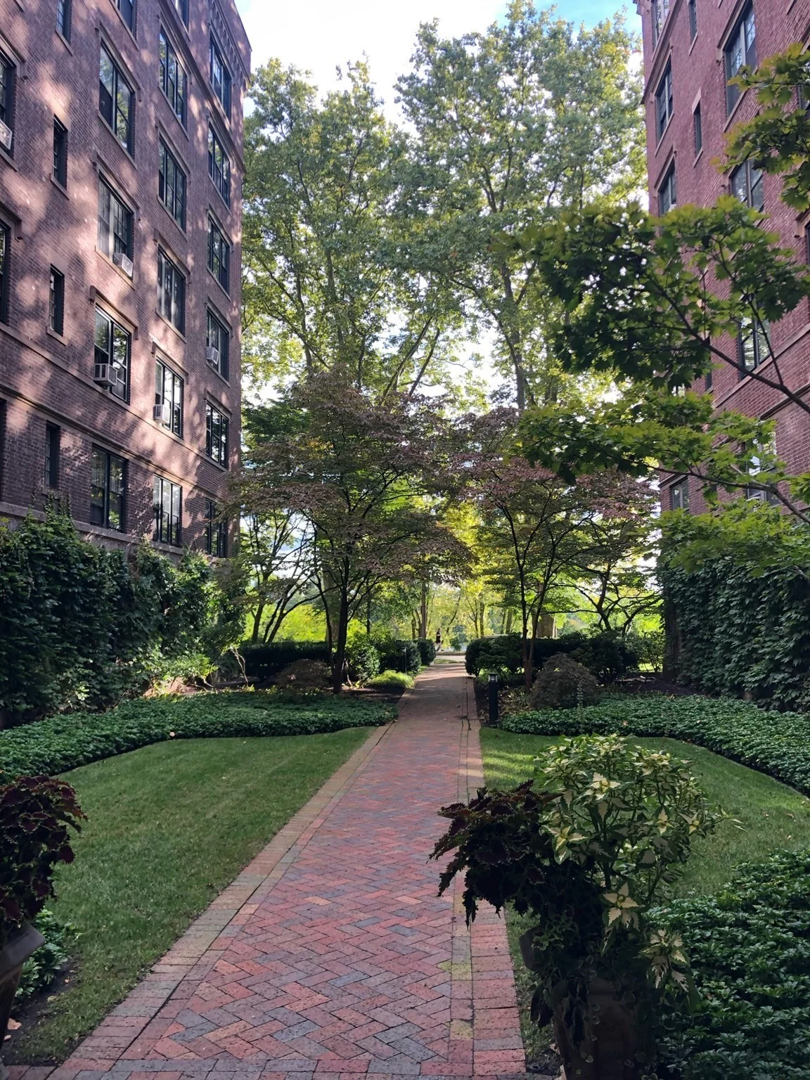 1 bed, 1 bath apartment for rent at 988 Memorial Dr Unit 389, West Cambridge — photo 15 of 16