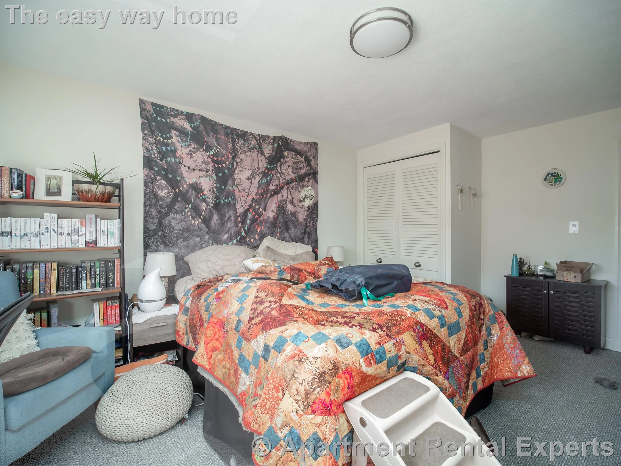 4 bed, 2 bath apartment for rent at 99 2nd St Unit 2, Wellington — photo 6 of 28
